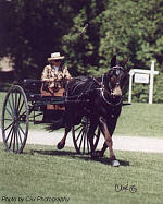 [click to enlarge] Photo by Clix Photography