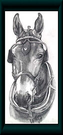 Artwork by Cindy Holyoak from a photo by Clix Photography